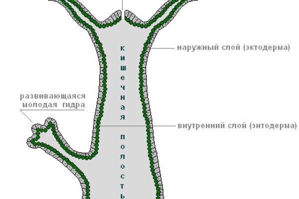 Кракен даркнет официальный сайт