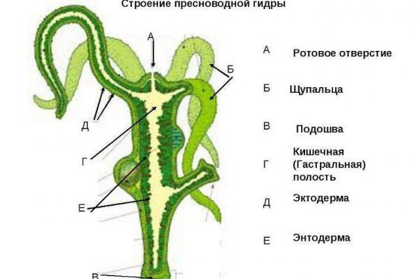 Кракен krakken15at com