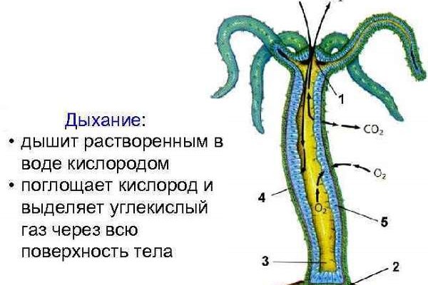 Кракен наркошоп