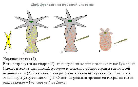 Кракен точка ат